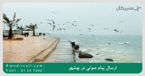 ارسال پیام صوتی در بوشهر